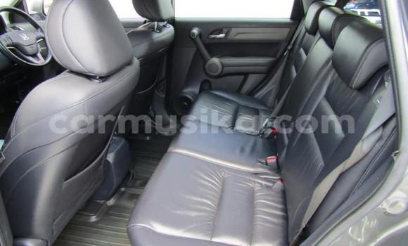 Acheter Occasion Voiture Honda CR–V Autre à Beitbridge, Matabeleland South Acheter Occasion Voiture Honda CR–V Autre à Beitbridge, Matabeleland South