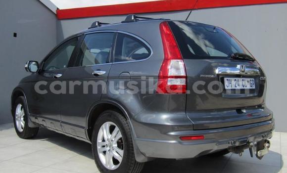 Acheter Occasion Voiture Honda CR–V Autre à Beitbridge, Matabeleland South Acheter Occasion Voiture Honda CR–V Autre à Beitbridge, Matabeleland South