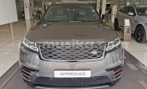 Tenga Tsaru Land Rover Range Rover Velar Sirivha Mota in Beitbridge in Matabeleland South