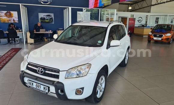 Buy Used Toyota RAV4 White Car in Beitbridge in Matabeleland South