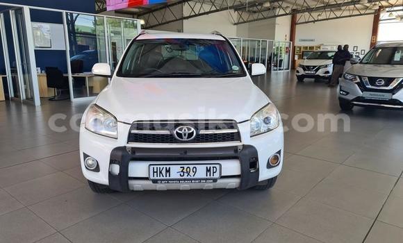 Tenga Tsaru Toyota RAV4 Chena Mota in Beitbridge in Matabeleland South Tenga Tsaru Toyota RAV4 Chena Mota in Beitbridge in Matabeleland South