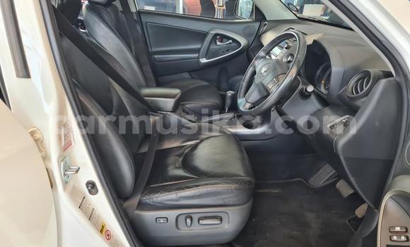 Tenga Tsaru Toyota RAV4 Chena Mota in Beitbridge in Matabeleland South Tenga Tsaru Toyota RAV4 Chena Mota in Beitbridge in Matabeleland South