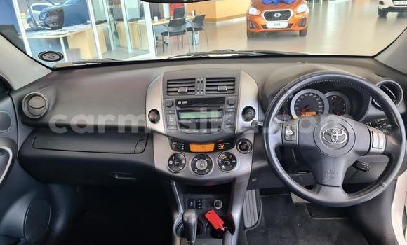 Tenga Tsaru Toyota RAV4 Chena Mota in Beitbridge in Matabeleland South Tenga Tsaru Toyota RAV4 Chena Mota in Beitbridge in Matabeleland South