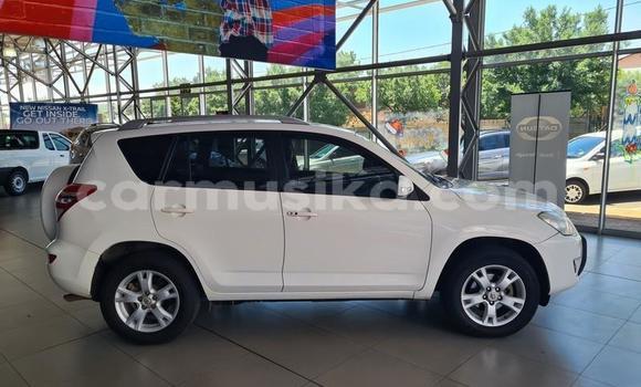 Tenga Tsaru Toyota RAV4 Chena Mota in Beitbridge in Matabeleland South Tenga Tsaru Toyota RAV4 Chena Mota in Beitbridge in Matabeleland South