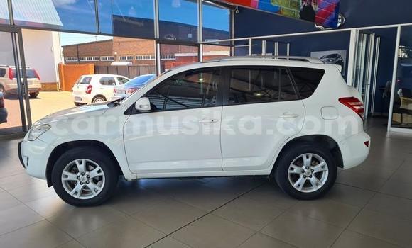 Tenga Tsaru Toyota RAV4 Chena Mota in Beitbridge in Matabeleland South Tenga Tsaru Toyota RAV4 Chena Mota in Beitbridge in Matabeleland South