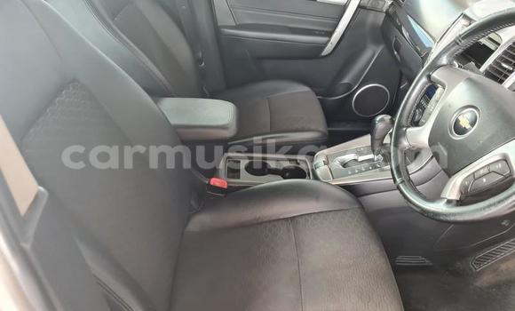 Acheter Occasion Voiture Chevrolet Captiva Blanc à Beitbridge, Matabeleland South Acheter Occasion Voiture Chevrolet Captiva Blanc à Beitbridge, Matabeleland South