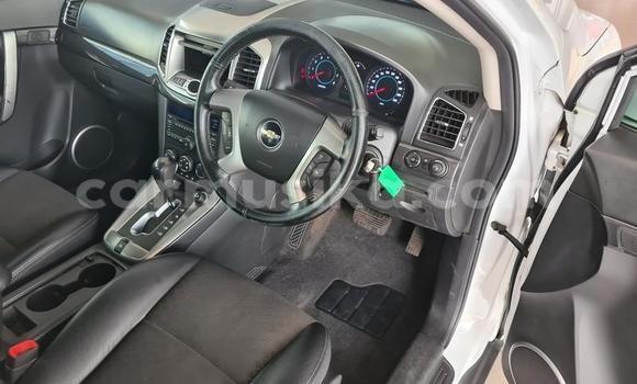 Acheter Occasion Voiture Chevrolet Captiva Blanc à Beitbridge, Matabeleland South Acheter Occasion Voiture Chevrolet Captiva Blanc à Beitbridge, Matabeleland South