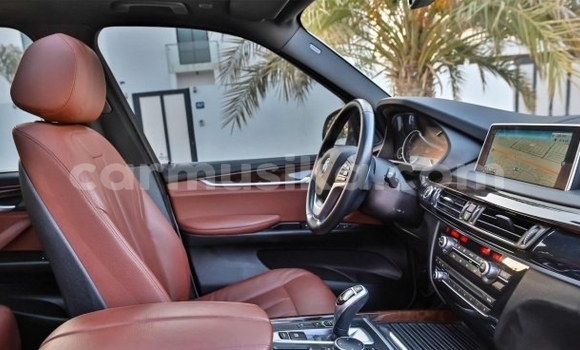 Tenga Tsaru BMW X6 Chena Mota in Chimanimani in Manicaland Tenga Tsaru BMW X6 Chena Mota in Chimanimani in Manicaland