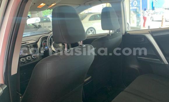 Tenga Tsaru Toyota RAV4 Sirivha Mota in Beitbridge in Matabeleland South Tenga Tsaru Toyota RAV4 Sirivha Mota in Beitbridge in Matabeleland South