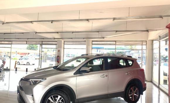 Tenga Tsaru Toyota RAV4 Sirivha Mota in Beitbridge in Matabeleland South Tenga Tsaru Toyota RAV4 Sirivha Mota in Beitbridge in Matabeleland South