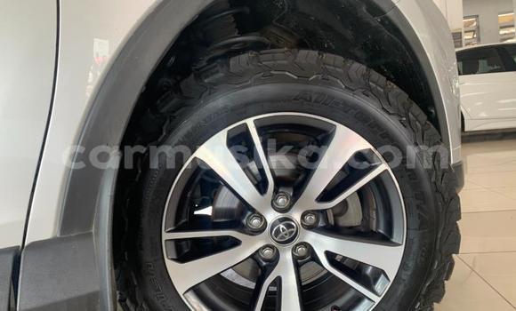 Tenga Tsaru Toyota RAV4 Sirivha Mota in Beitbridge in Matabeleland South Tenga Tsaru Toyota RAV4 Sirivha Mota in Beitbridge in Matabeleland South