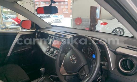 Tenga Tsaru Toyota RAV4 Sirivha Mota in Beitbridge in Matabeleland South Tenga Tsaru Toyota RAV4 Sirivha Mota in Beitbridge in Matabeleland South