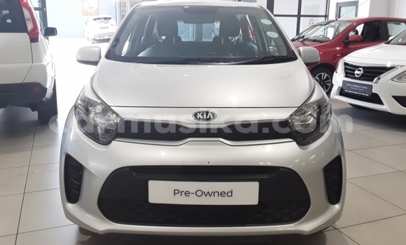 Acheter Occasion Voiture Kia Picanto Gris à Beitbridge, Matabeleland South
