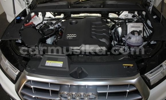 Nunua Ilio tumika Audi Q5 Nyeupe Gari ndani ya Beitbridge nchini Matabeleland Kusini Nunua Ilio tumika Audi Q5 Nyeupe Gari ndani ya Beitbridge nchini Matabeleland Kusini