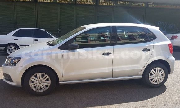 Tenga Tsaru Volkswagen Polo Sirivha Mota in Beitbridge in Matabeleland South