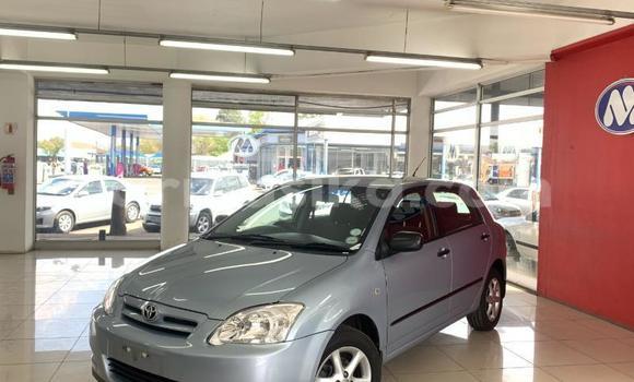 Acheter Occasion Voiture Toyota Runx Gris à Beitbridge, Matabeleland South
