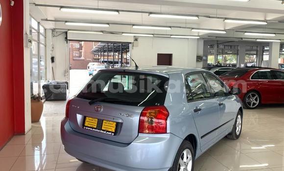 Buy Used Toyota Runx Silver Car in Beitbridge in Matabeleland South Buy Used Toyota Runx Silver Car in Beitbridge in Matabeleland South