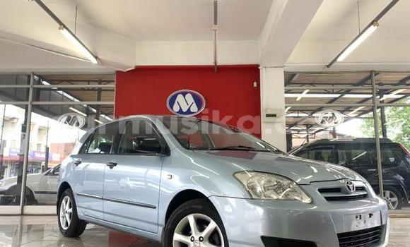 Buy Used Toyota Runx Silver Car in Beitbridge in Matabeleland South Buy Used Toyota Runx Silver Car in Beitbridge in Matabeleland South