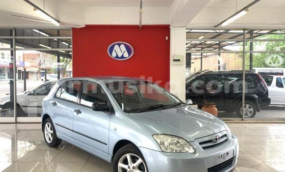 Buy Used Toyota Runx Silver Car in Beitbridge in Matabeleland South Buy Used Toyota Runx Silver Car in Beitbridge in Matabeleland South