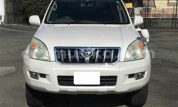 Acheter Occasion Voiture Toyota Land Cruiser Prado Blanc à Beitbridge, Matabeleland South