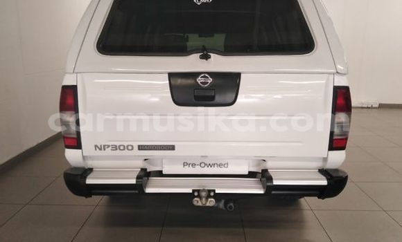 Buy Used Nissan NP 300 White Car in Beitbridge in Matabeleland South Buy Used Nissan NP 300 White Car in Beitbridge in Matabeleland South