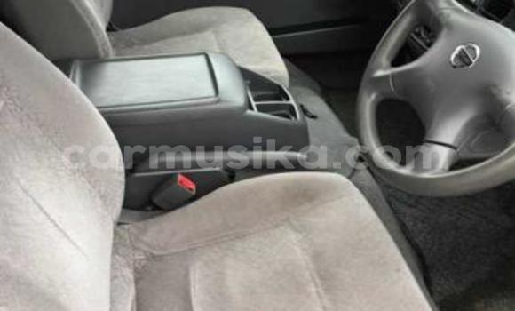 Tenga Tsaru Nissan Caravan Zvimwe Mota in Beitbridge in Matabeleland South Tenga Tsaru Nissan Caravan Zvimwe Mota in Beitbridge in Matabeleland South