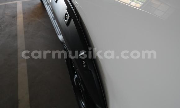 Tenga Tsaru Toyota Hilux Chena Mota in Beitbridge in Matabeleland South Tenga Tsaru Toyota Hilux Chena Mota in Beitbridge in Matabeleland South