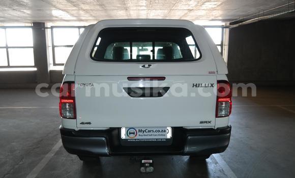 Tenga Tsaru Toyota Hilux Chena Mota in Beitbridge in Matabeleland South Tenga Tsaru Toyota Hilux Chena Mota in Beitbridge in Matabeleland South