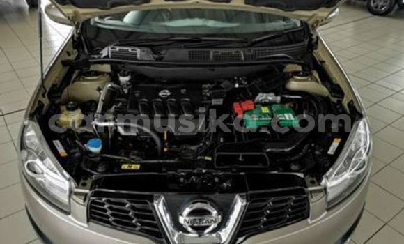 Nunua Ilio tumika Nissan Qashqai Beige Gari ndani ya Beitbridge nchini Matabeleland Kusini Nunua Ilio tumika Nissan Qashqai Beige Gari ndani ya Beitbridge nchini Matabeleland Kusini