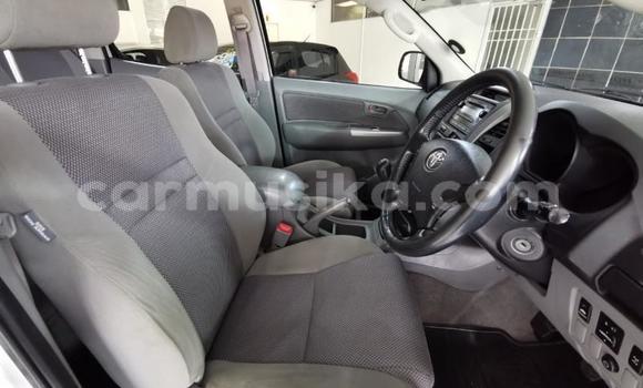 Acheter Occasion Voiture Toyota Hilux Gris à Beitbridge, Matabeleland South Acheter Occasion Voiture Toyota Hilux Gris à Beitbridge, Matabeleland South