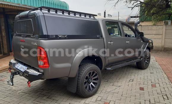 Buy Used Toyota Hilux Black Car in Beitbridge in Matabeleland South Buy Used Toyota Hilux Black Car in Beitbridge in Matabeleland South