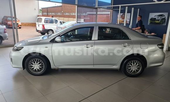 Buy Used Toyota Corolla Silver Car in Beitbridge in Matabeleland South Buy Used Toyota Corolla Silver Car in Beitbridge in Matabeleland South