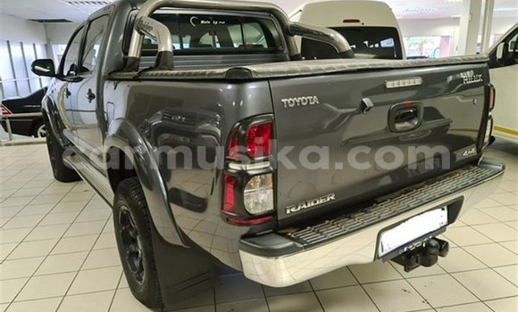 Tenga Tsaru Toyota Hilux Nhema Mota in Beitbridge in Matabeleland South Tenga Tsaru Toyota Hilux Nhema Mota in Beitbridge in Matabeleland South