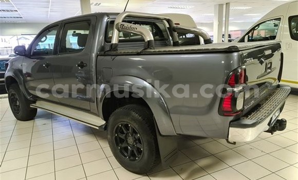 Tenga Tsaru Toyota Hilux Nhema Mota in Beitbridge in Matabeleland South Tenga Tsaru Toyota Hilux Nhema Mota in Beitbridge in Matabeleland South