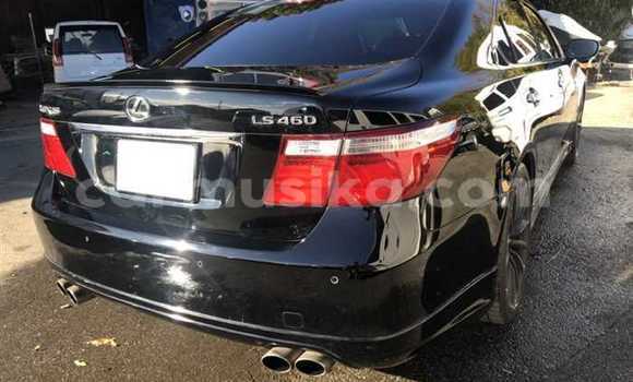 Acheter Occasion Voiture Lexus LS Noir à Beitbridge, Matabeleland South Acheter Occasion Voiture Lexus LS Noir à Beitbridge, Matabeleland South