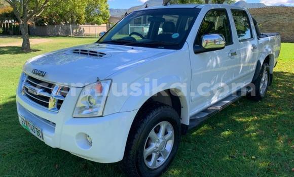 Buy Used Isuzu KB White Car in Beitbridge in Matabeleland South Buy Used Isuzu KB White Car in Beitbridge in Matabeleland South