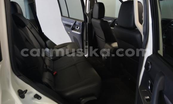 Tenga Tsaru Mitsubishi Pajero Chena Mota in Harare in Harare Tenga Tsaru Mitsubishi Pajero Chena Mota in Harare in Harare