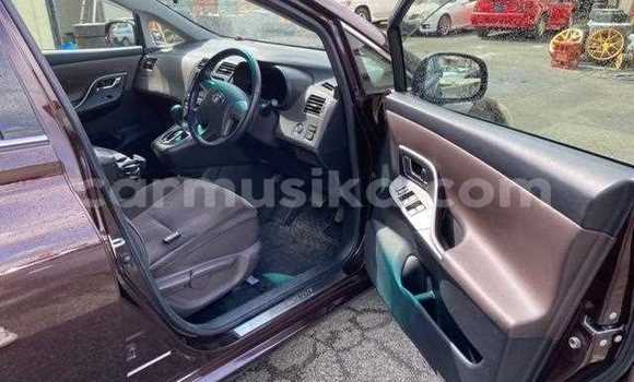 Buy Used Toyota Mark X ZiO Red Car in Beitbridge in Matabeleland South Buy Used Toyota Mark X ZiO Red Car in Beitbridge in Matabeleland South