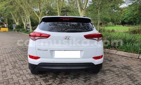 Buy Used Hyundai Tucson White Car in Beitbridge in Matabeleland South Buy Used Hyundai Tucson White Car in Beitbridge in Matabeleland South