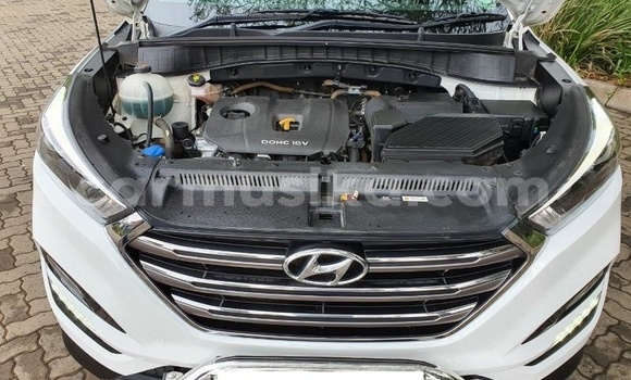 Buy Used Hyundai Tucson White Car in Beitbridge in Matabeleland South Buy Used Hyundai Tucson White Car in Beitbridge in Matabeleland South