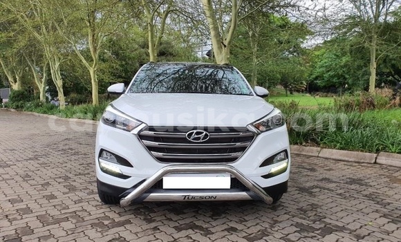 Buy Used Hyundai Tucson White Car in Beitbridge in Matabeleland South Buy Used Hyundai Tucson White Car in Beitbridge in Matabeleland South