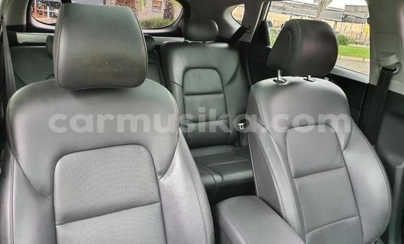 Buy Used Hyundai Tucson White Car in Beitbridge in Matabeleland South Buy Used Hyundai Tucson White Car in Beitbridge in Matabeleland South