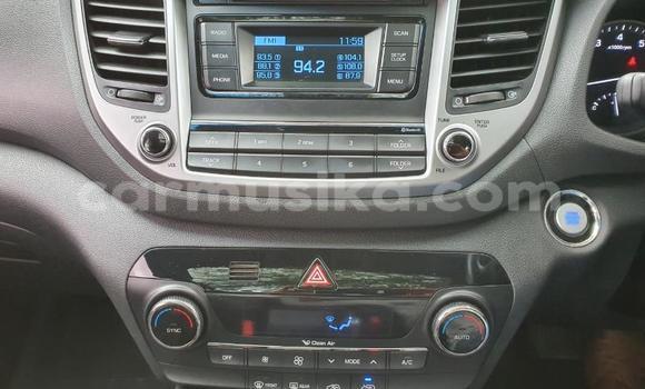 Buy Used Hyundai Tucson White Car in Beitbridge in Matabeleland South Buy Used Hyundai Tucson White Car in Beitbridge in Matabeleland South