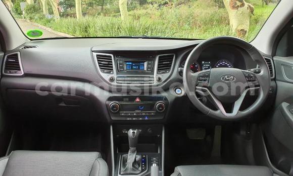 Buy Used Hyundai Tucson White Car in Beitbridge in Matabeleland South Buy Used Hyundai Tucson White Car in Beitbridge in Matabeleland South