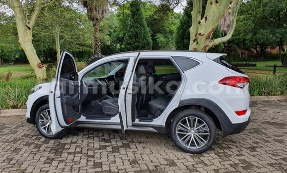 Buy Used Hyundai Tucson White Car in Beitbridge in Matabeleland South Buy Used Hyundai Tucson White Car in Beitbridge in Matabeleland South