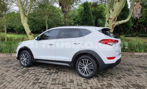 Buy Used Hyundai Tucson White Car in Beitbridge in Matabeleland South Buy Used Hyundai Tucson White Car in Beitbridge in Matabeleland South