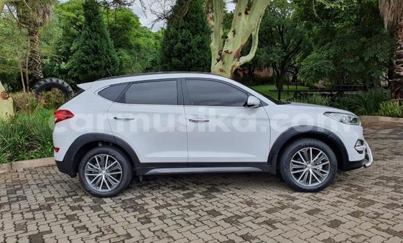 Buy Used Hyundai Tucson White Car in Beitbridge in Matabeleland South Buy Used Hyundai Tucson White Car in Beitbridge in Matabeleland South