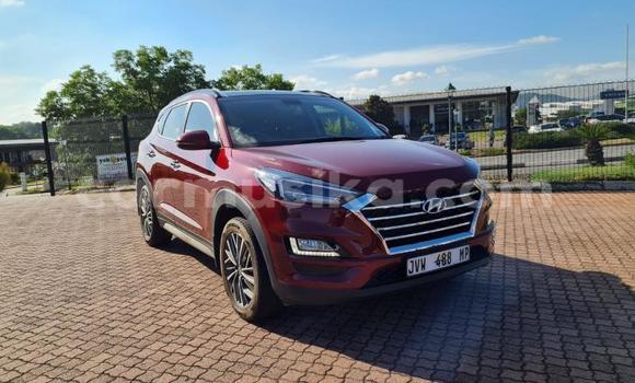 Nunua Ilio tumika Hyundai Tucson Nyekundu Gari ndani ya Beitbridge nchini Matabeleland Kusini