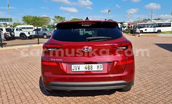 Acheter Occasion Voiture Hyundai Tucson Rouge à Beitbridge, Matabeleland South Acheter Occasion Voiture Hyundai Tucson Rouge à Beitbridge, Matabeleland South