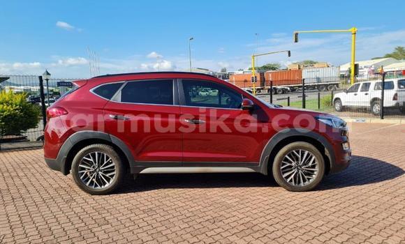 Acheter Occasion Voiture Hyundai Tucson Rouge à Beitbridge, Matabeleland South Acheter Occasion Voiture Hyundai Tucson Rouge à Beitbridge, Matabeleland South